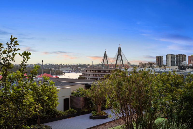 1125/243 Pyrmont Street, Pyrmont NSW 2009