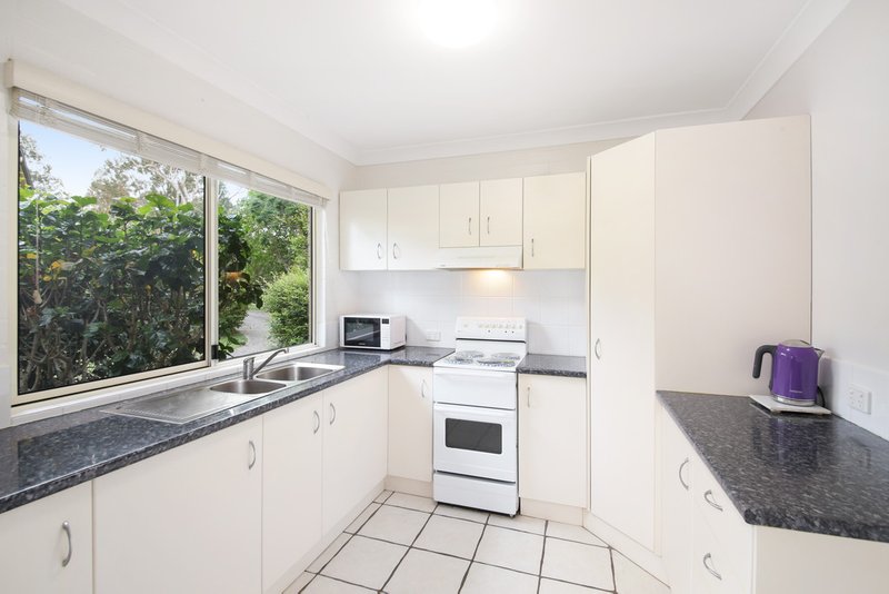 Photo - 11/26 Kauri Street, Cooroy QLD 4563 - Image 4