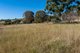 Photo - 1127 Goolma Road, Gulgong NSW 2852 - Image 24