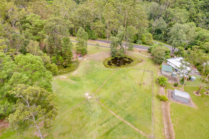 Photo - 1127 Tallebudgera Creek Road, Tallebudgera Valley QLD 4228 - Image 2