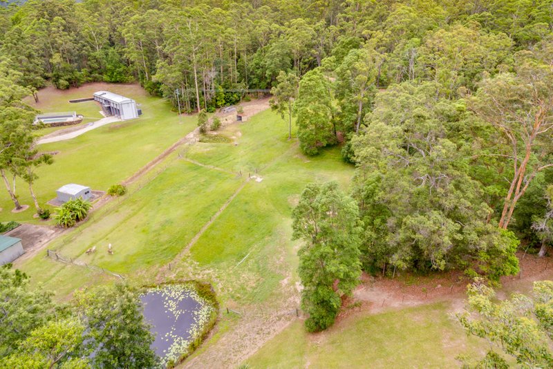 Photo - 1127 Tallebudgera Creek Road, Tallebudgera Valley QLD 4228 - Image 3