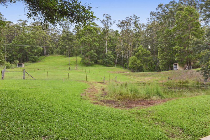 Photo - 1127 Tallebudgera Creek Road, Tallebudgera Valley QLD 4228 - Image 4