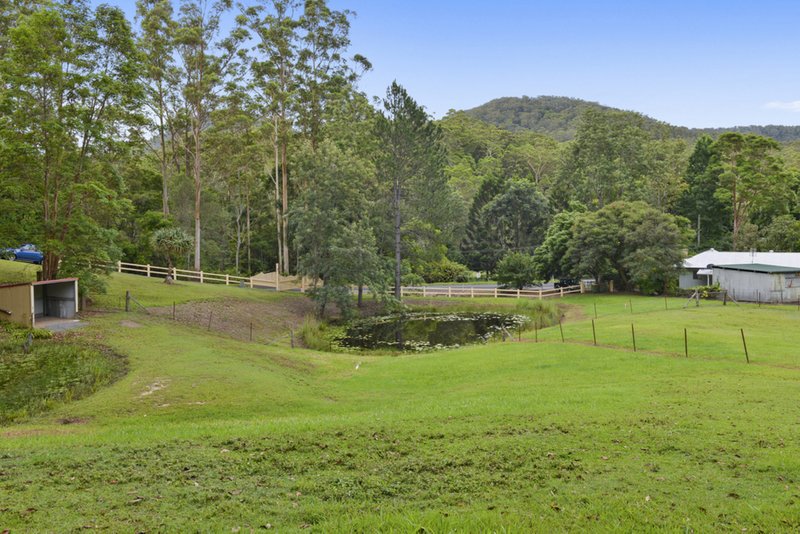 Photo - 1127 Tallebudgera Creek Road, Tallebudgera Valley QLD 4228 - Image 6