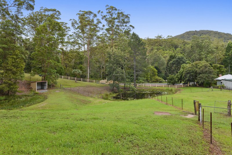 Photo - 1127 Tallebudgera Creek Road, Tallebudgera Valley QLD 4228 - Image 7