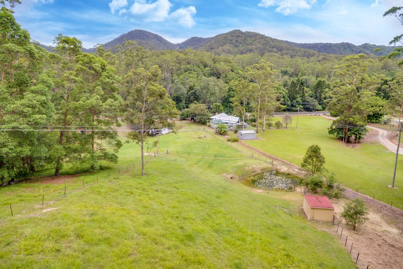 Photo - 1127 Tallebudgera Creek Road, Tallebudgera Valley QLD 4228 - Image 8