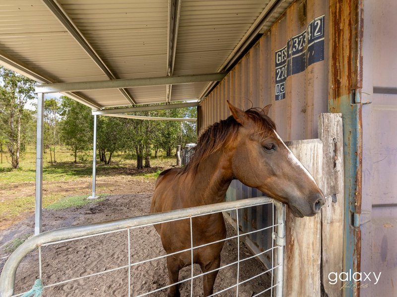 Photo - 1128 Tableland Road, Horse Camp QLD 4671 - Image 25