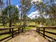 Photo - 1128 Tableland Road, Horse Camp QLD 4671 - Image 33