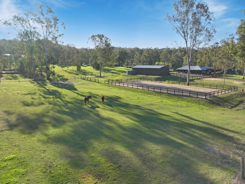 Photo - 113-129 Killigrew Road, Tamborine QLD 4270 - Image 19