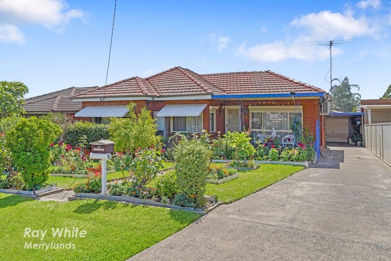 113 Adler Parade, Greystanes NSW 2145