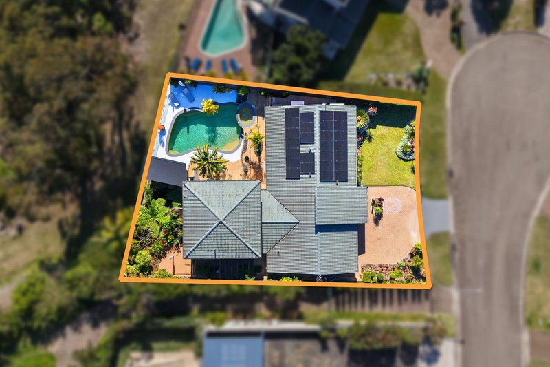 Photo - 113 Ashworth Avenue, Belrose NSW 2085 - Image 24