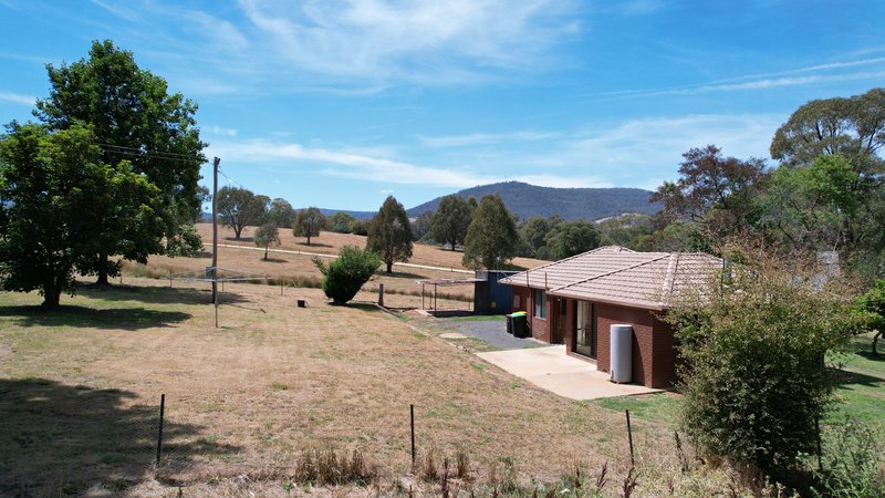 Photo - 113 Bogong Street, Tumbarumba NSW 2653 - Image 13