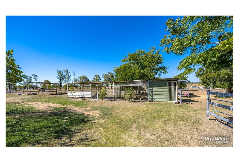 Photo - 113 Cherryfield Road, Gracemere QLD 4702 - Image 20