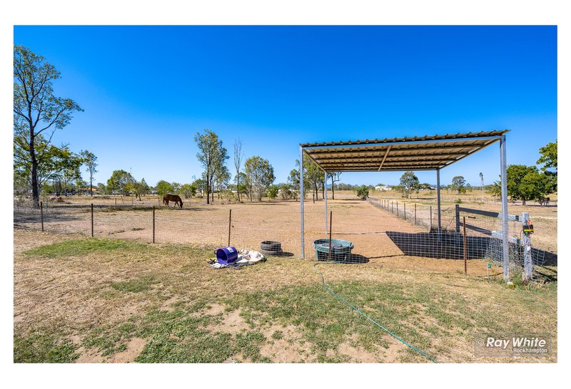 Photo - 113 Cherryfield Road, Gracemere QLD 4702 - Image 21