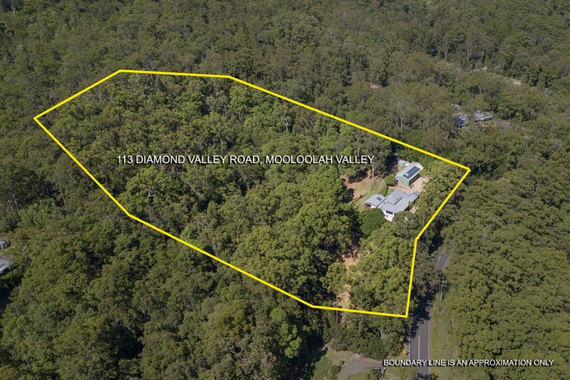 Photo - 113 Diamond Valley Road, Mooloolah Valley QLD 4553 - Image 3