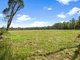 Photo - 113 Forestry Road, Landsborough QLD 4550 - Image 17