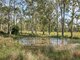 Photo - 113 Forestry Road, Landsborough QLD 4550 - Image 19