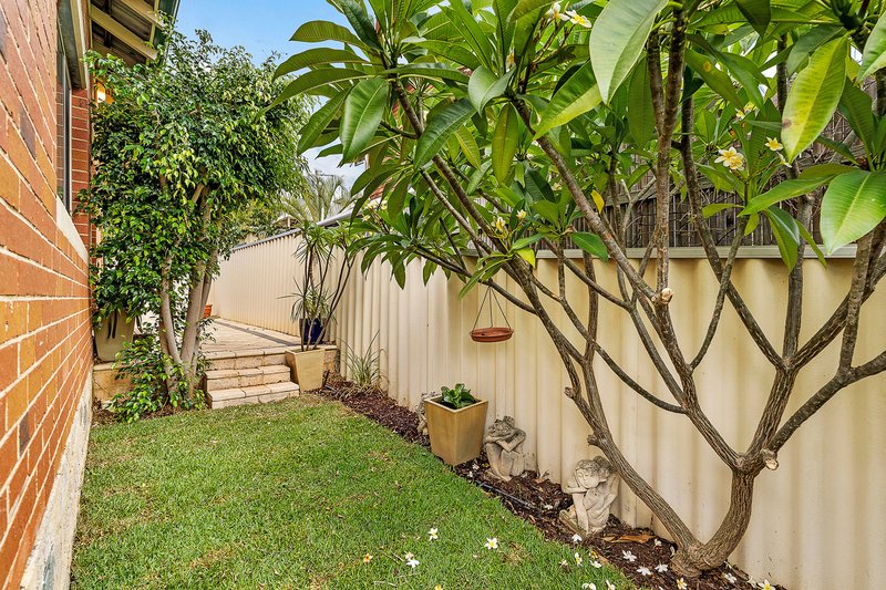 Photo - 113 Grand Promenade, Doubleview WA 6018 - Image 16