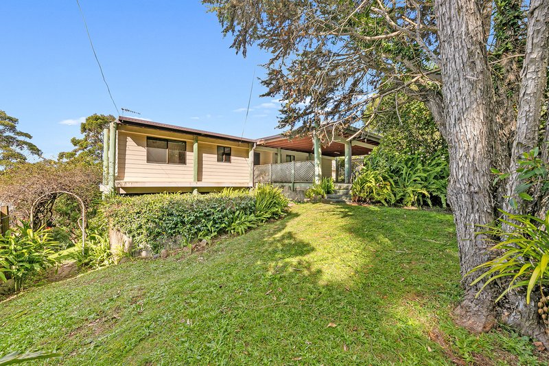 Photo - 113 Guanaba Road, Tamborine Mountain QLD 4272 - Image 15