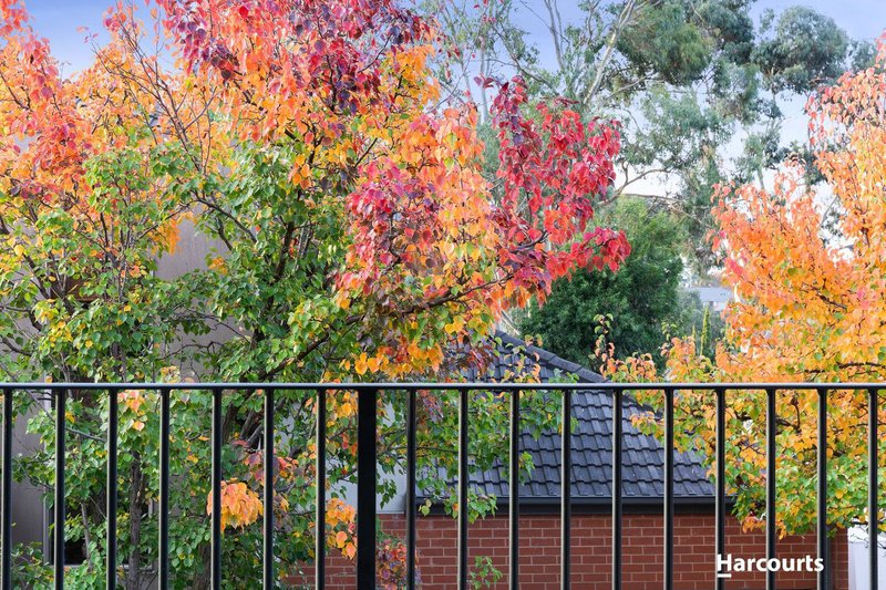 Photo - 11/3 Keylana Boulevard, Mount Waverley VIC 3149 - Image 12