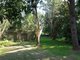 Photo - 113 Lemon Tree Passage Road, Salt Ash NSW 2318 - Image 14