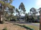 Photo - 113 Litchfield Crescent, Long Beach NSW 2536 - Image 2