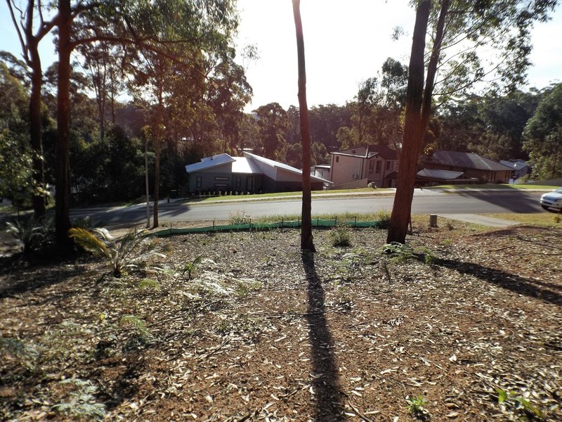 Photo - 113 Litchfield Crescent, Long Beach NSW 2536 - Image 6