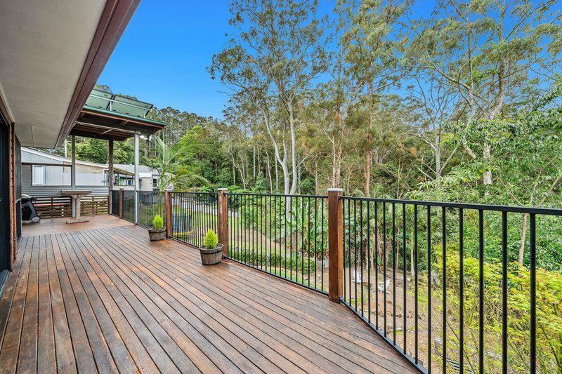 Photo - 113 North Road, Lower Beechmont QLD 4211 - Image 19