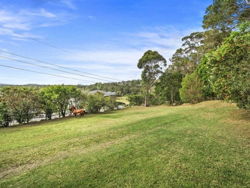 Photo - 113 Orchard Street, Warriewood NSW 2102 - Image 1