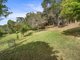 Photo - 113 Orchard Street, Warriewood NSW 2102 - Image 6