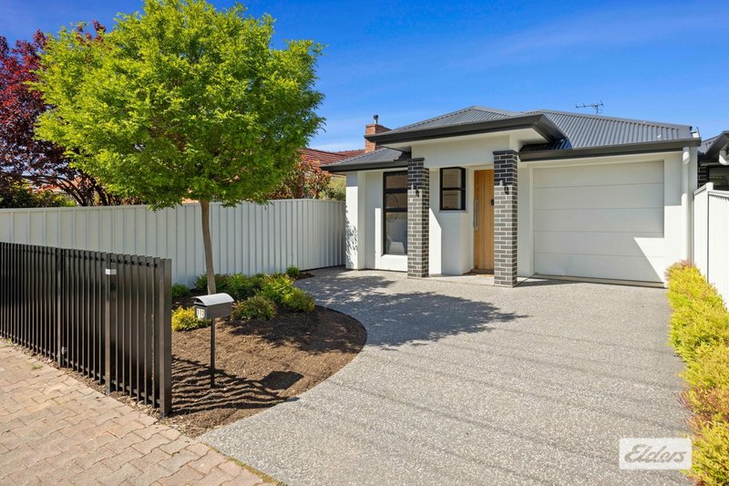 113 Raglan Avenue, South Plympton SA 5038