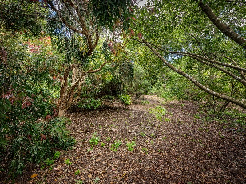 Photo - 113 Sandfly Road, Margate TAS 7054 - Image 27