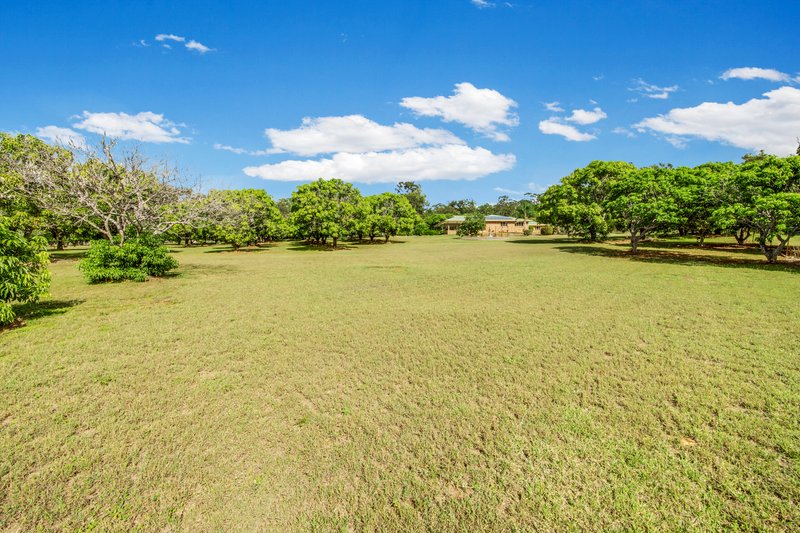 Photo - 113 Siding Road, Beecher QLD 4680 - Image 17