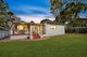 Photo - 113 Wallis Avenue, Strathfield NSW 2135 - Image 13