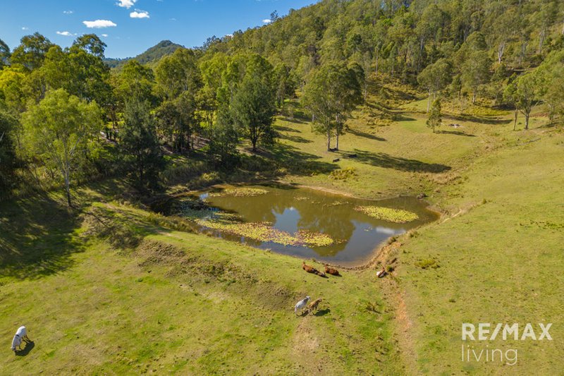 Photo - 1130 Sandy Creek Road, Sandy Creek QLD 4515 - Image 4