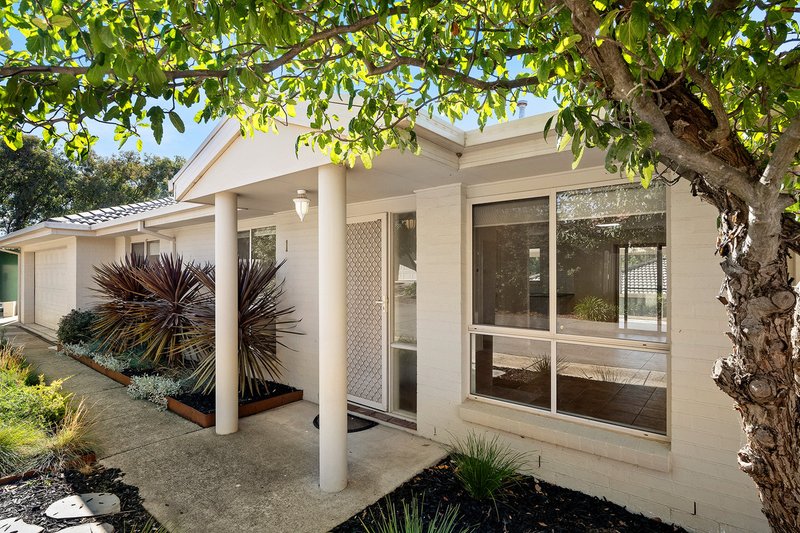 Photo - 1/131 Britten Jones Drive, Holt ACT 2615 - Image 4