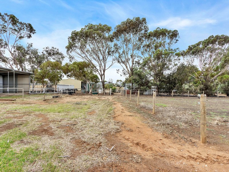 Photo - 1131 Horrocks Highway, Templers SA 5371 - Image 28