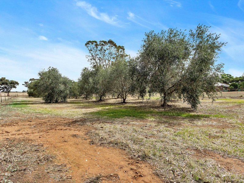 Photo - 1131 Horrocks Highway, Templers SA 5371 - Image 31
