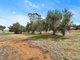 Photo - 1131 Horrocks Highway, Templers SA 5371 - Image 31
