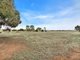 Photo - 1131 Horrocks Highway, Templers SA 5371 - Image 32