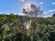 Photo - 11/315 Burns Bay Road, Lane Cove NSW 2066 - Image 6