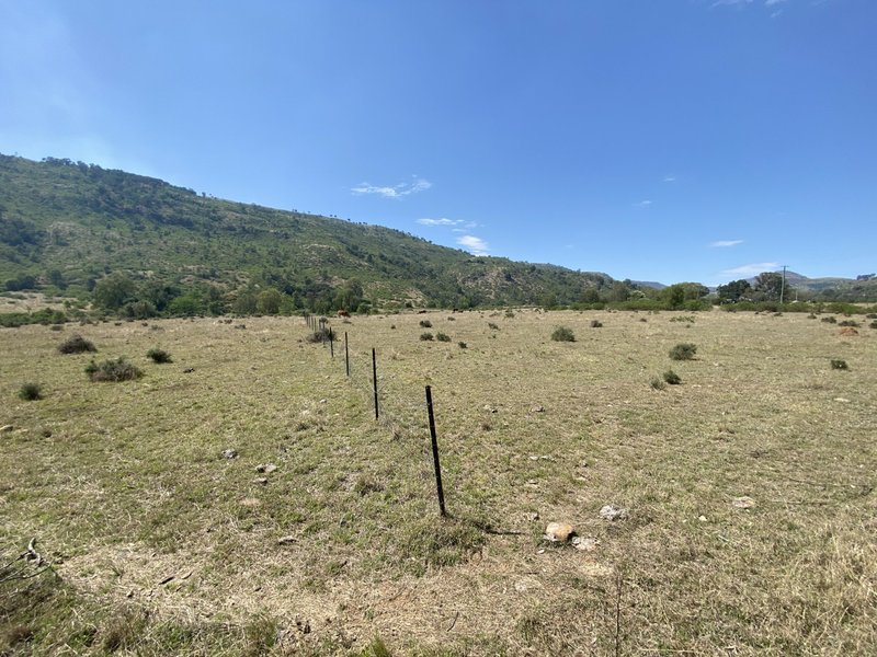 Photo - 1133 Ropeley-Rockside Road, Rockside QLD 4343 - Image 16