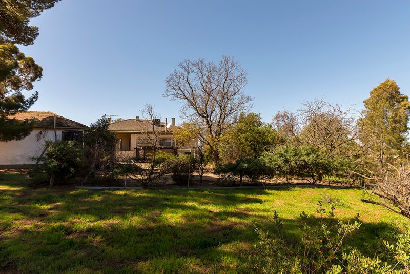 Photo - 1137 Horrocks Highway, Templers SA 5371 - Image 13