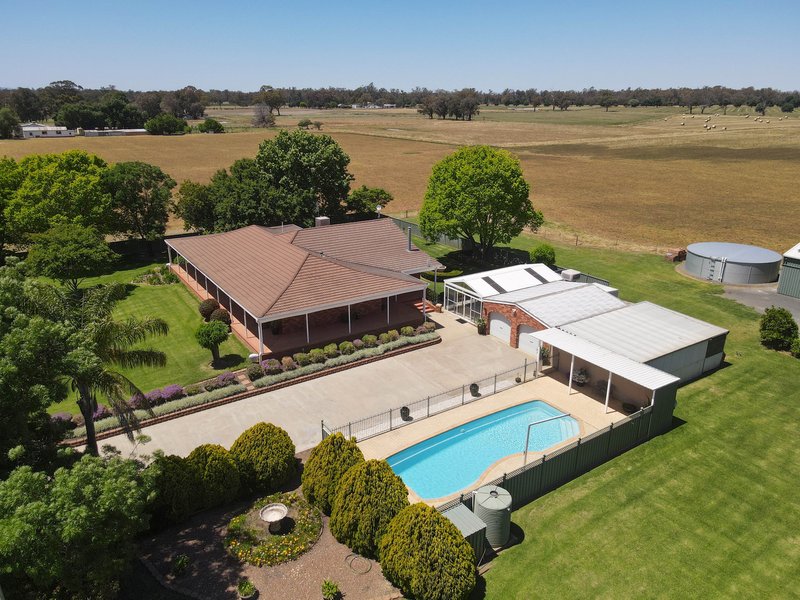 Photo - 11377 The Escort Way, Forbes NSW 2871 - Image 6