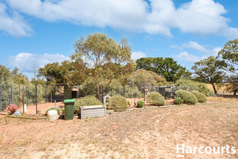 Photo - 1138 Horsham Noradjuha Road, Lower Norton VIC 3401 - Image 16