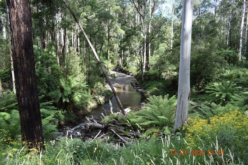 Photo - 114 Duggan North Road, Fumina VIC 3825 - Image 1