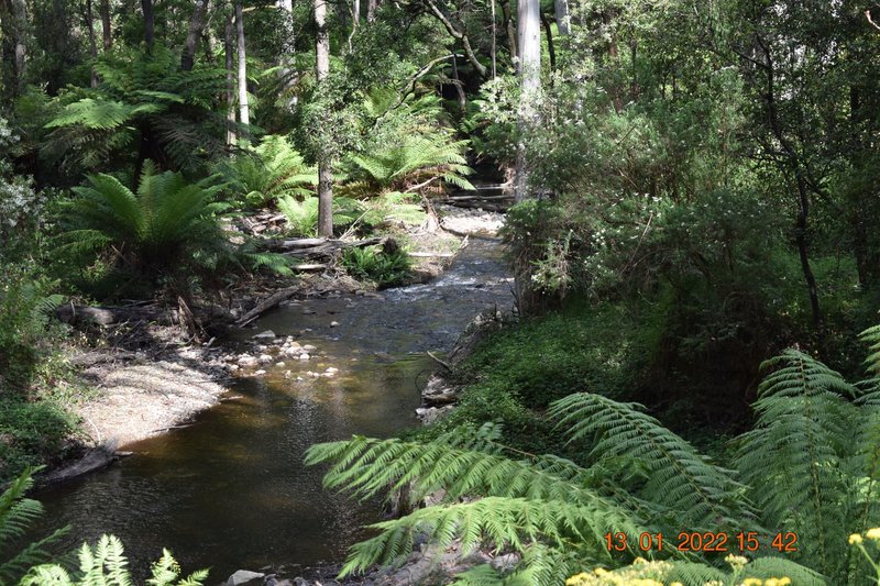 Photo - 114 Duggan North Road, Fumina VIC 3825 - Image 2