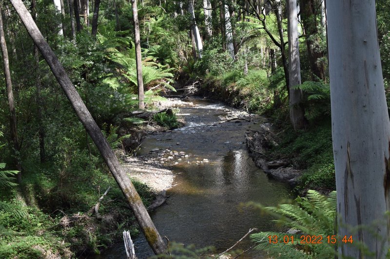 Photo - 114 Duggan North Road, Fumina VIC 3825 - Image 3