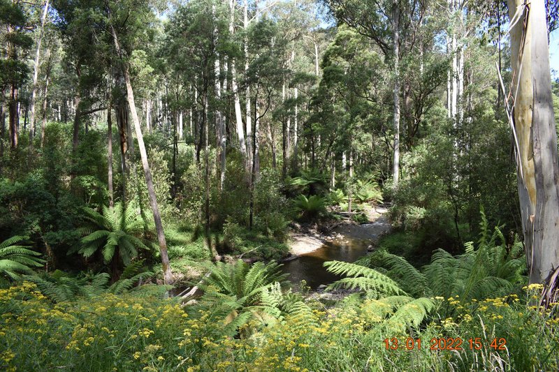 Photo - 114 Duggan North Road, Fumina VIC 3825 - Image 4