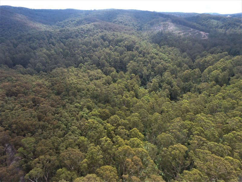 Photo - 114 Duggan North Road, Fumina VIC 3825 - Image 6