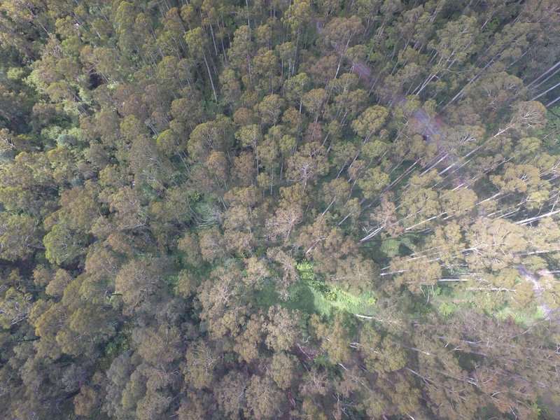 Photo - 114 Duggan North Road, Fumina VIC 3825 - Image 7